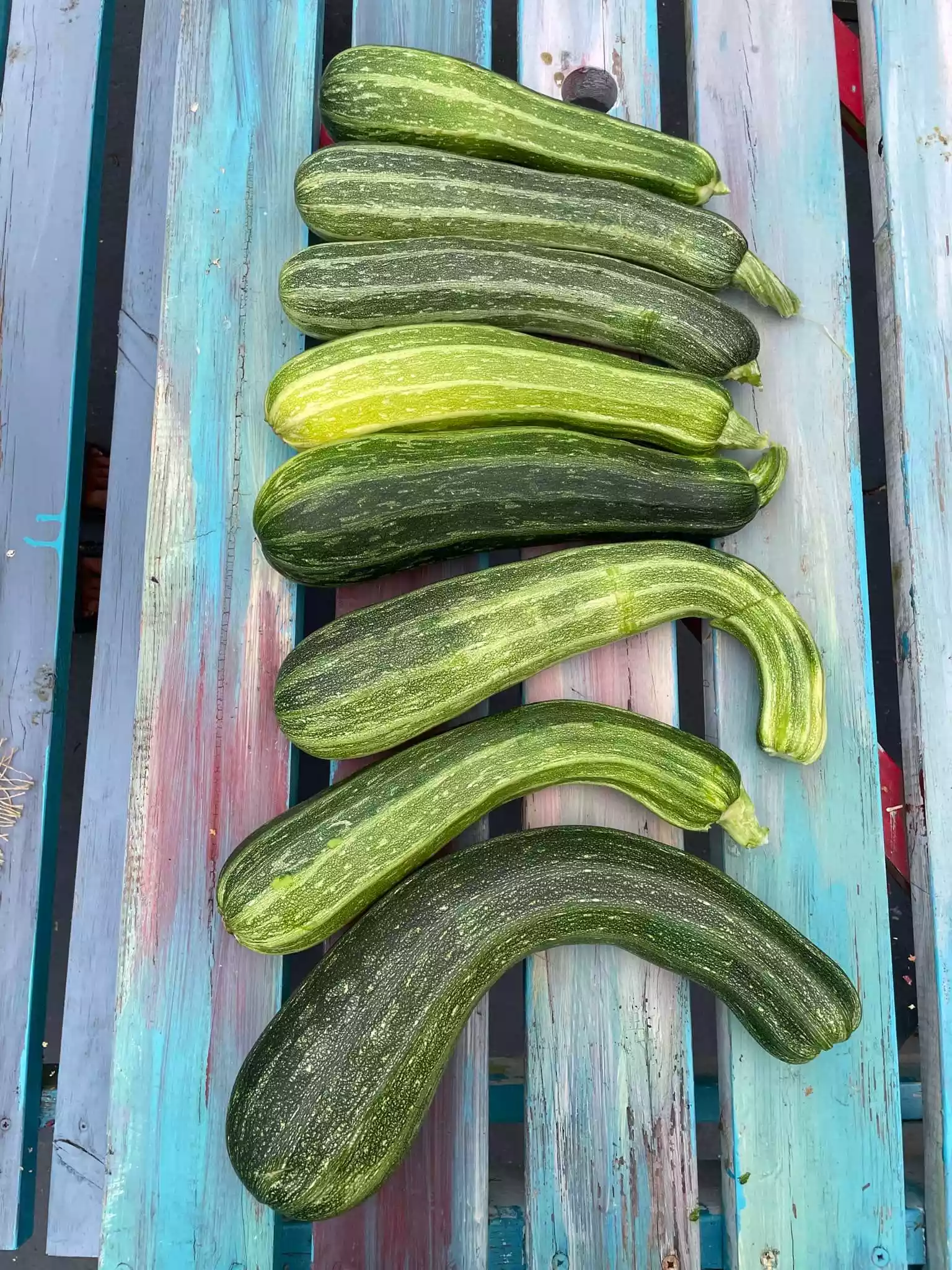 fromthegarden Courgettes