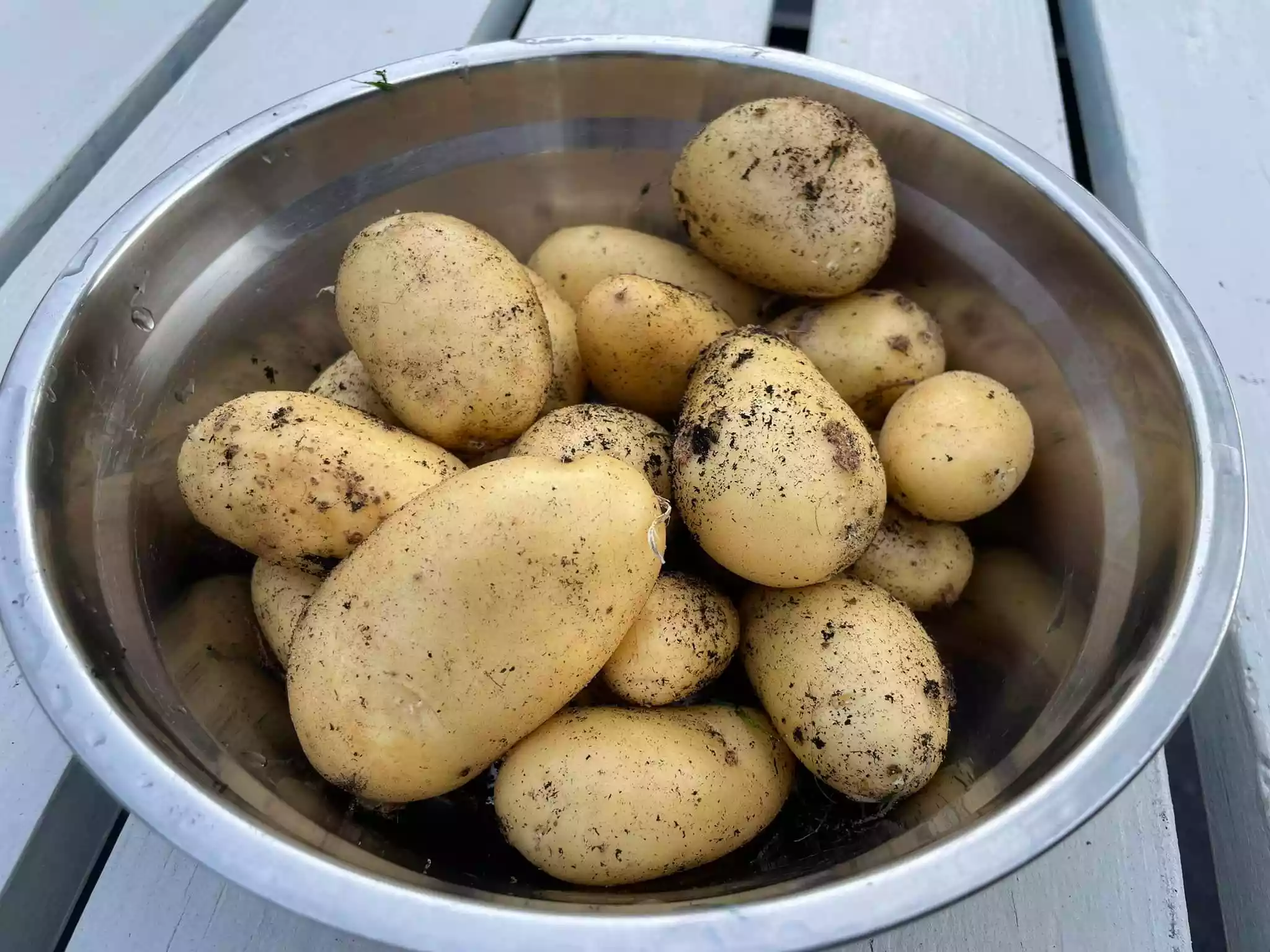 fromthegarden Potatoes